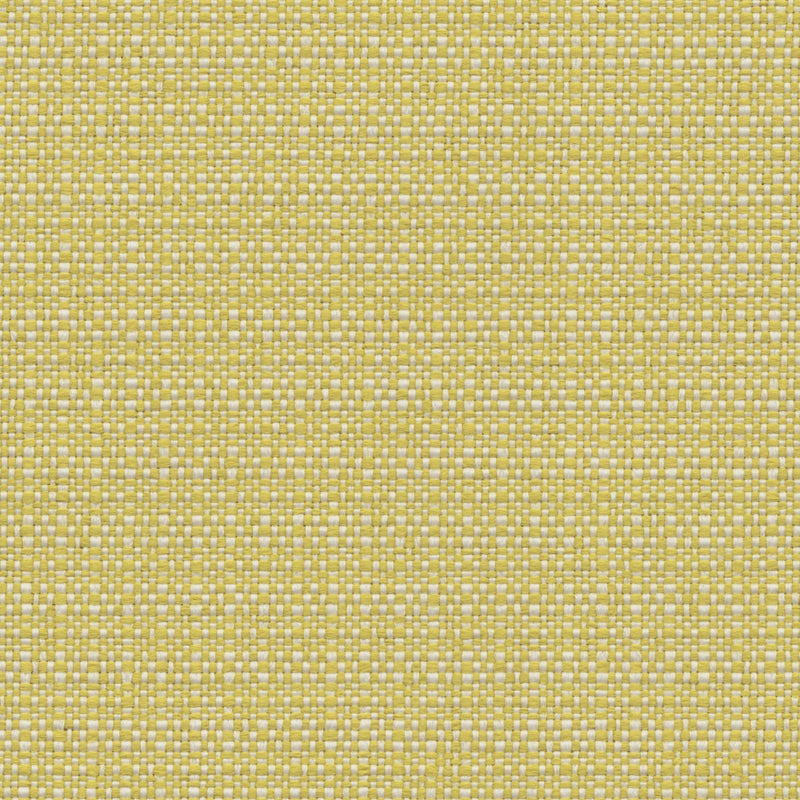 Nude Beach - Performance Outdoor Fabric - Discontinued - yard / Sunny - Revolution Upholstery Fabric