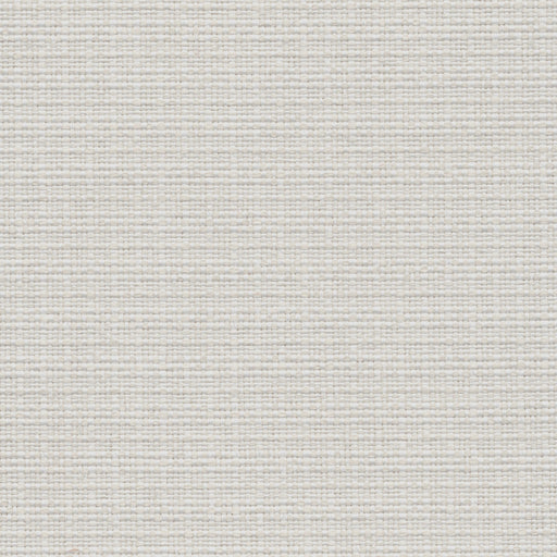 Nude Beach - Performance Outdoor Fabric - yard / White - Revolution Upholstery Fabric