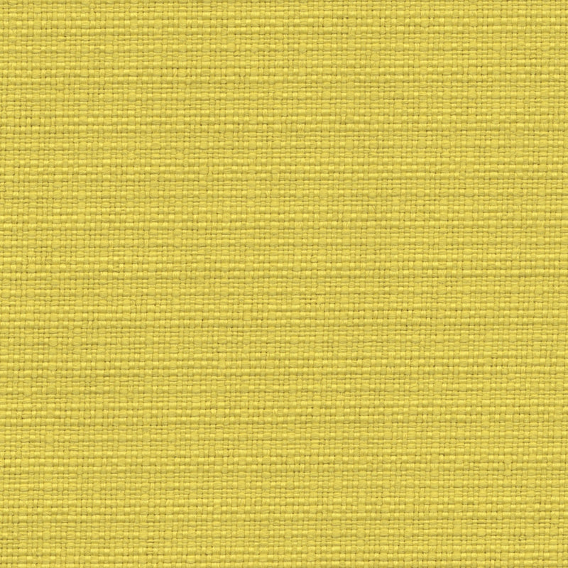 Nude Beach - Performance Outdoor Fabric - Discontinued - yard / Yellow - Revolution Upholstery Fabric