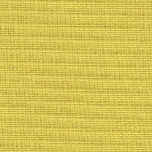 Nude Beach - Performance Outdoor Fabric - Discontinued - yard / Yellow - Revolution Upholstery Fabric