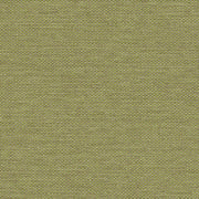 Love Boat - Outdoor Upholstery Fabric - Yard / Olive - Revolution Upholstery Fabric