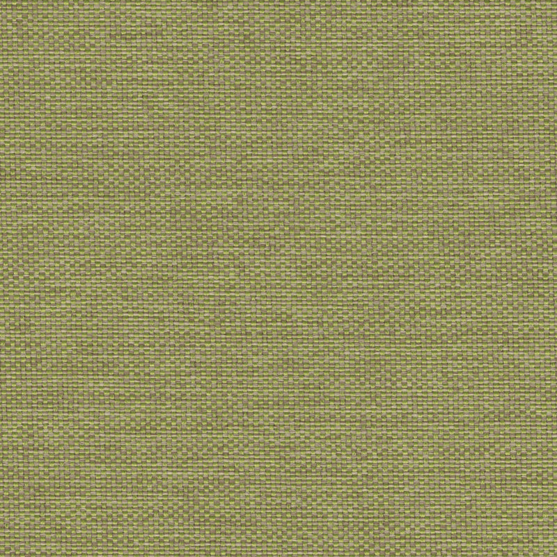 Love Boat - Outdoor Upholstery Fabric - Yard / Olive - Revolution Upholstery Fabric