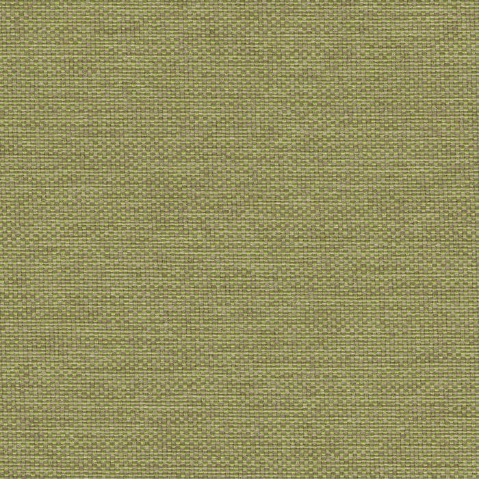 Love Boat - Outdoor Upholstery Fabric - Swatch / Olive - Revolution Upholstery Fabric