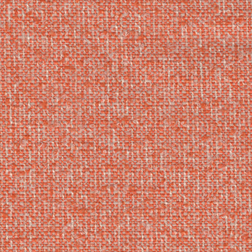 Barbados - Outdoor Boucle Upholstery Fabric - Yard / Orange - Revolution Upholstery Fabric