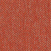 Waterpoint - Outdoor Boucle Upholstery Fabric - Swatch / Papaya - Revolution Upholstery Fabric