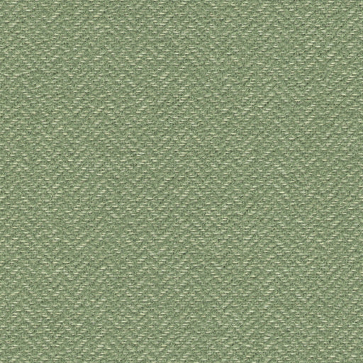 Pizzazz - Outdoor Upholstery Fabric - Yard / Sage - Revolution Upholstery Fabric