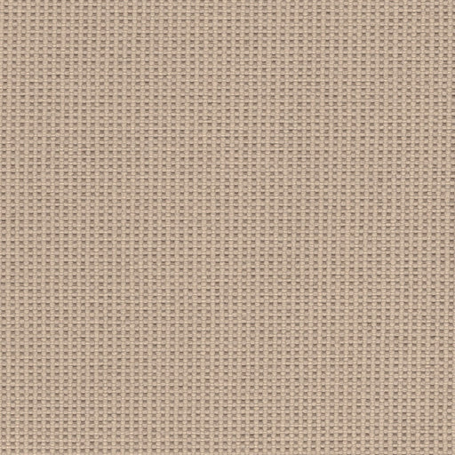 Bamboo Bay Outdoor Fabric - Yard / Sand - Revolution Upholstery Fabric
