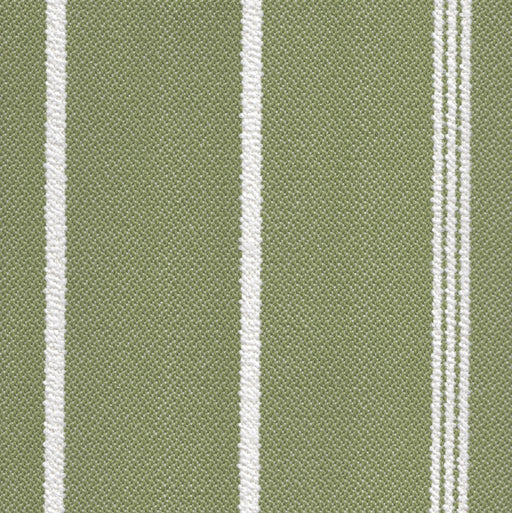 Starboard - Outdoor Upholstery Fabric - Yard / Grass - Revolution Upholstery Fabric