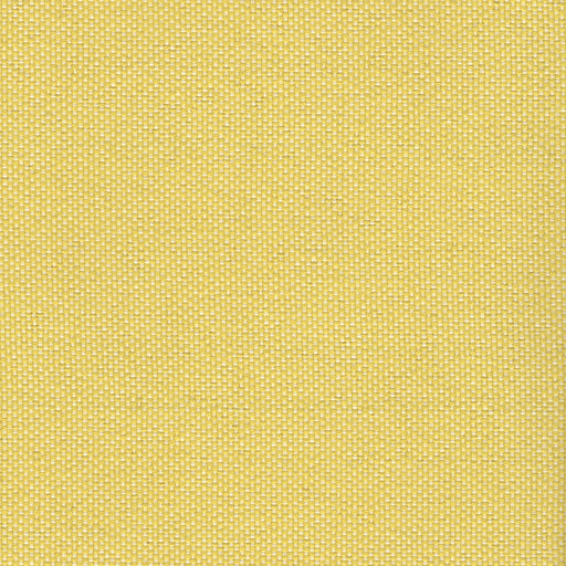 Brightside - Outdoor Upholstery Fabric - Discontinued - yard / Suncloud - Revolution Upholstery Fabric