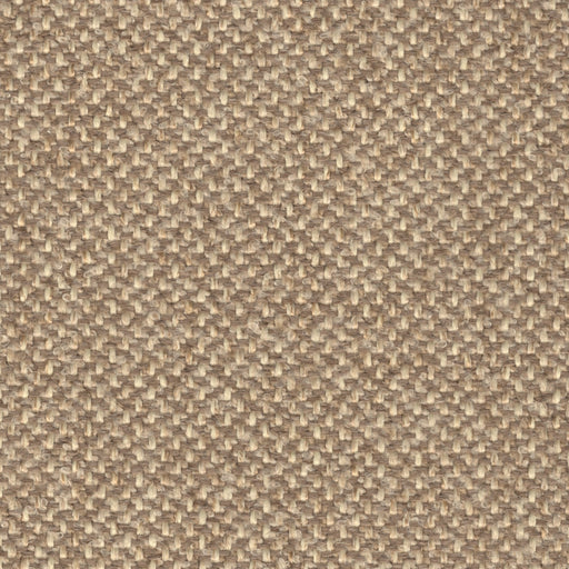 Wooly Bully - Performance Upholstery Fabrics - Yard / wheat - Revolution Upholstery Fabric